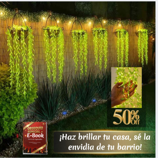 ¡Nueva! EcoEnredadera Mágica™+ Novena de Aguinaldo Digital Gratis