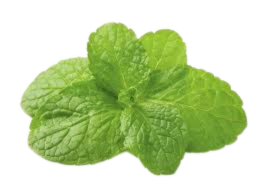 Mentol Natural