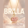 ¡Nuevo! Collar Cisne Encantado | Baño Oro 18k + Caja Regalo Gratis✨🦢